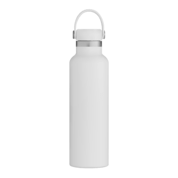 Lost item